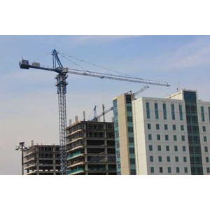 raimondi tower crane