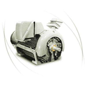 teco-motor high voltage 3 phase