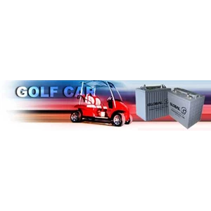 aki mobil golf / golf car battery deepcycle