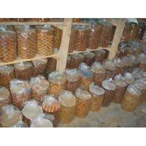 gula merah koin