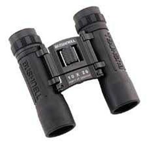 bushnell powerview 10x25