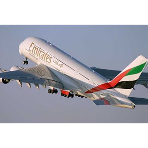 kirim barang eksport ke dubai-uae
