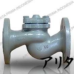 lift check valve cast iron pn16