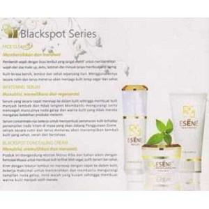 esene black spot concealing set (total menghilangkan flek2 hitam)-1