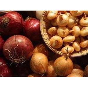 bawang bombay
