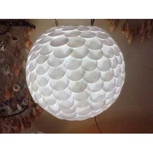 seashells lamp