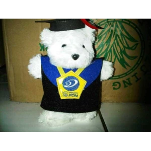 bear wisuda