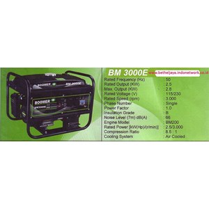 bm 3000e boomer generators