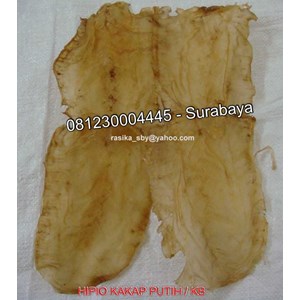 fish maw kakap putih ( baramundi ) / gelembung ikan kakap putih ( baramundi)