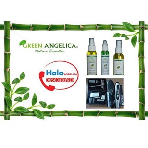 paket green angelica super treatment