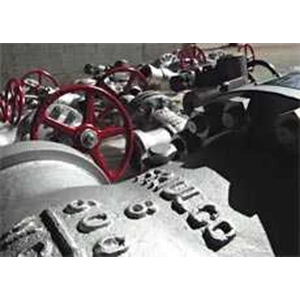 friulco valves spa