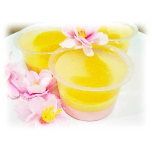 puding xincia