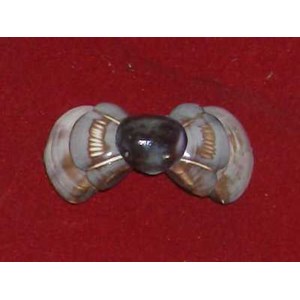 hairclip made from shell cut around / penjepit rambut kerang bentuk pita dari kerang conus