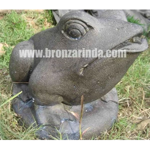 br009 - frog with hole water