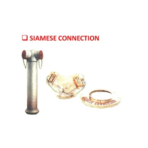 siamese connection