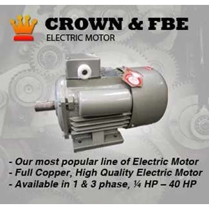 fbe electro motor