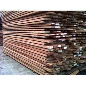 kayu duren burung