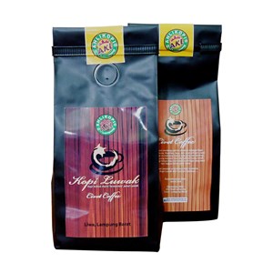 kopi luwak asli fermentasi dari perut luwak