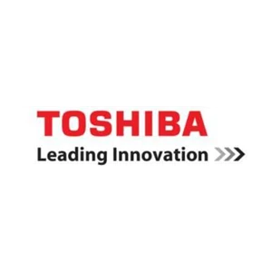 inverter toshiba : service | repair | maintenance
