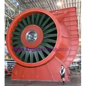 fan