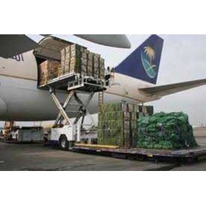 cargo import dtd service borongan-1