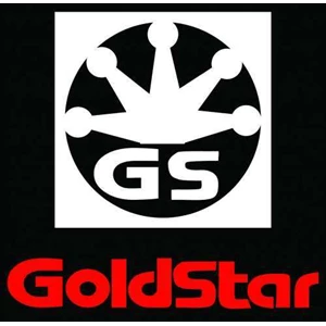 inverter goldstar starvert g : service | repair | maintenance