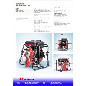 portable pump