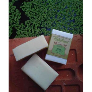 aloe vera soap | sabun lidah buaya | produk organik