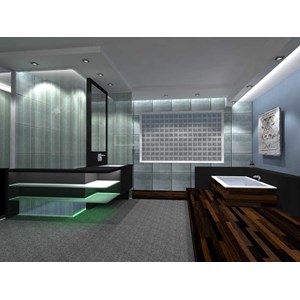 disain master bathroom