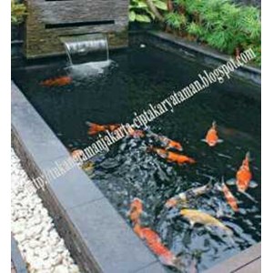 tukang taman jakarta - spesialis kolam koi kolam minimalis