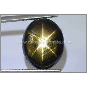 elegant golden star safir sharp star - bsg 029