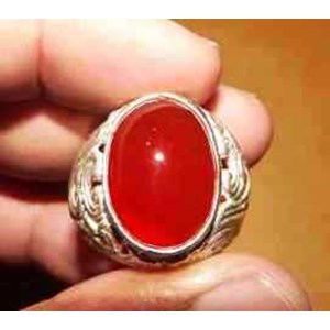 garut orange