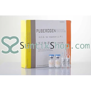 puberogen hcg pengencang payudara