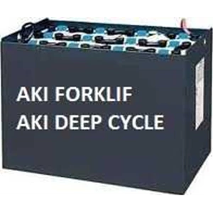 aki / accu forklift ( deep cycle baterry)
