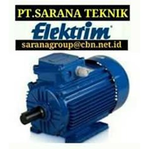 elektrim cantoni motors pt sarana teknik electric motor 2 pole-1