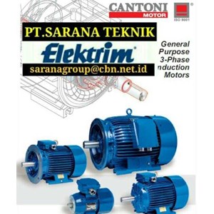 elektrim cantoni electric motor pt sarana teknik b35 foot and flange mounted-1
