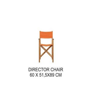 director chair