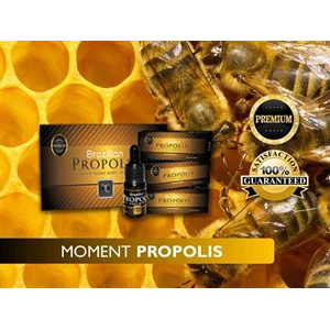 moment propolis-1