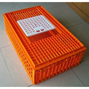 peralatan kandang-3