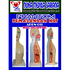 : mannequin| phantom ngt silicone | nuha medika sarana-3