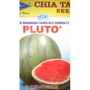 benih ( bibit ) semangka non biji daging merah hibrida pluto buah mudah jadi