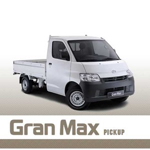 gran max pick up-3