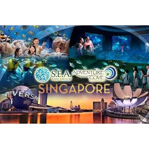 tiket sea aquarium singapore-1