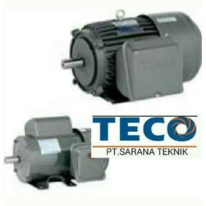 teco induction motor ex. taiwan-4