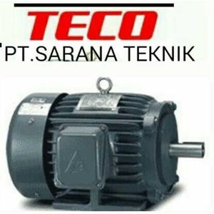 teco induction motor ex. taiwan-1
