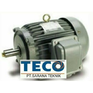 teco induction motor ex. taiwan-5