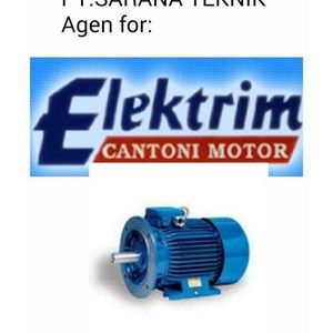 pt sarana teknik 40 hp -4pole-1425 rpm-b3-3 ph-50 hz- elektrim cantoni electric motor for motor foot mounted b3, 50hz, 380/ 660, volt