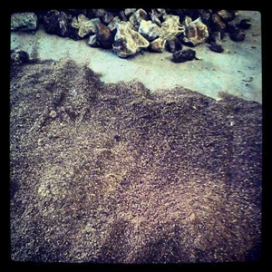 damar batu powder - dust - abu ( rp. 2.500 per kg)-5