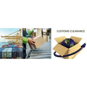 customs consultant