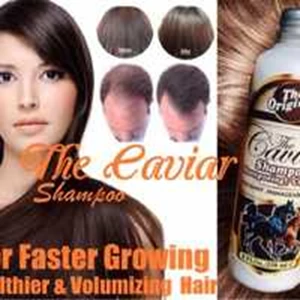 caviar shampoo / shampo kuda